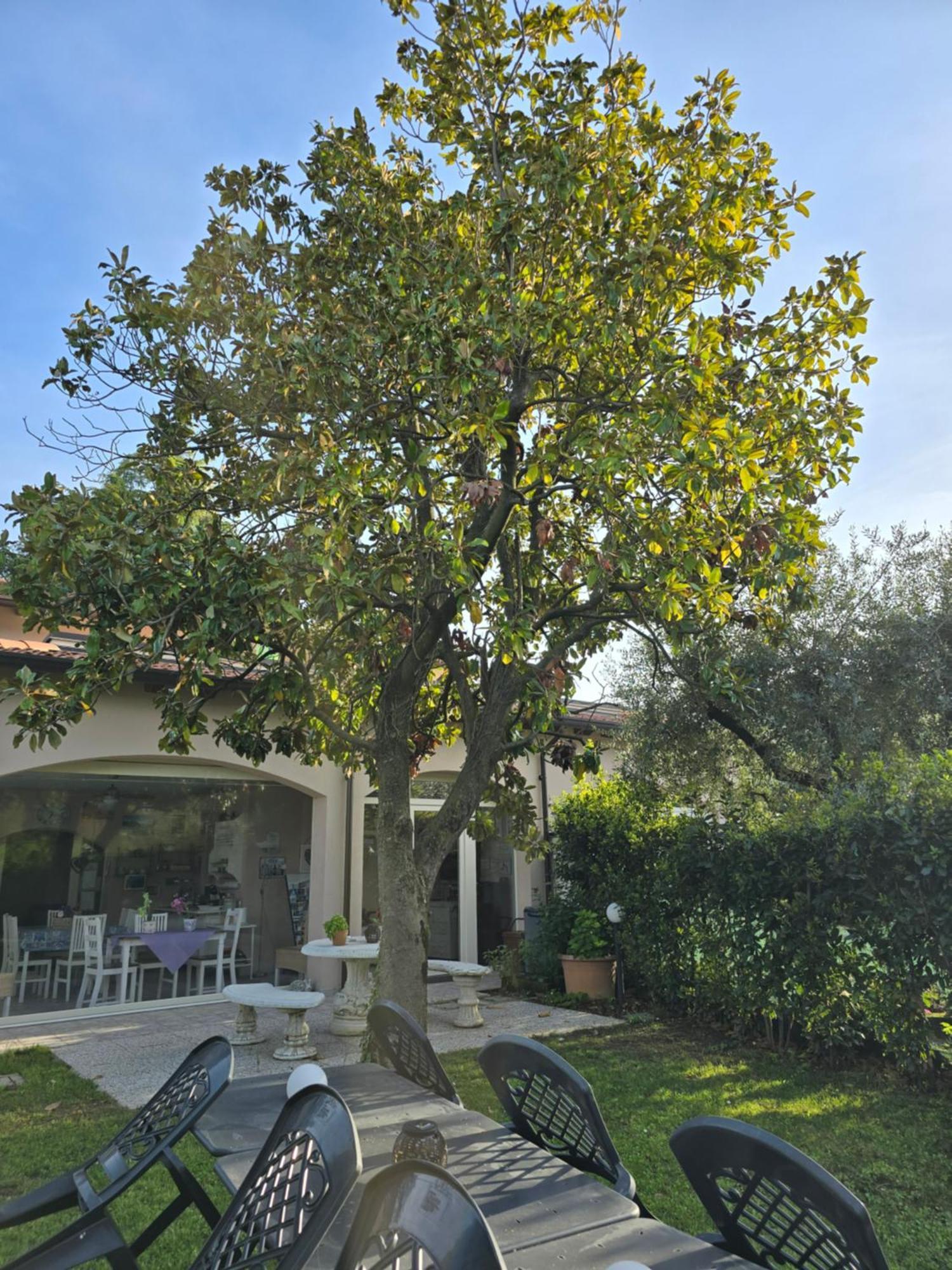 Villa Indipendente A Pochi Passi Dal Lago San Felice del Benaco Zewnętrze zdjęcie